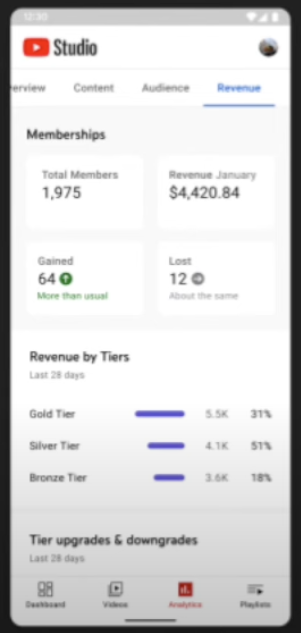 YouTube Adding More Analytics Data About Views &  revenue