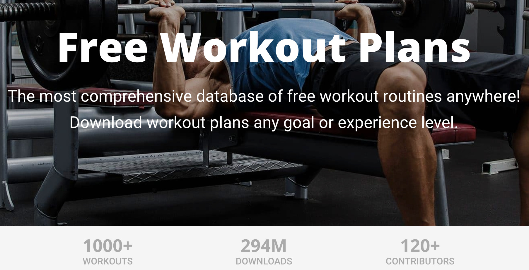 Excerpt of Muscle and Strength's workout routines database